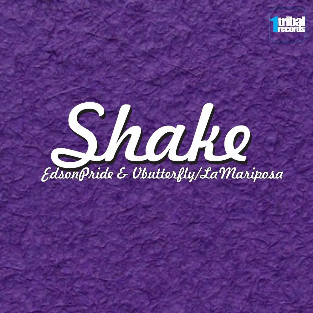 Picture of Shake (You Are the One), Pt. 2