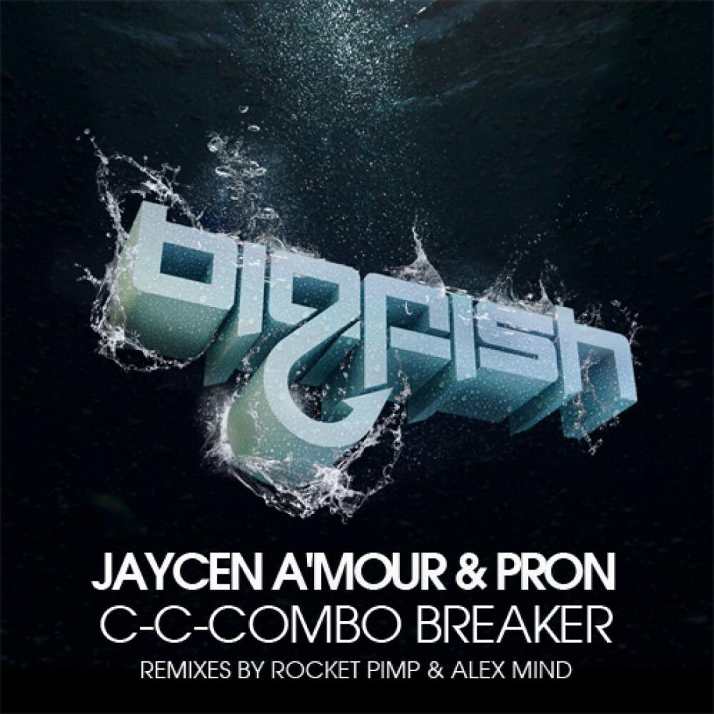 Picture of C-C-Combo Breaker