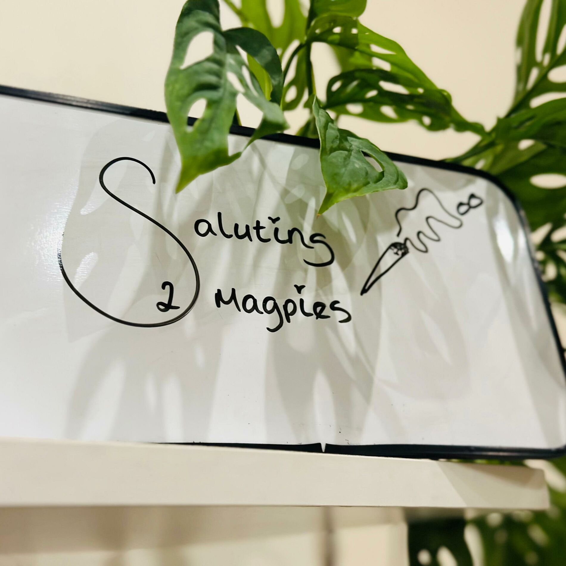 Album cover of Saluting 2 Magpies (feat. Vessel)