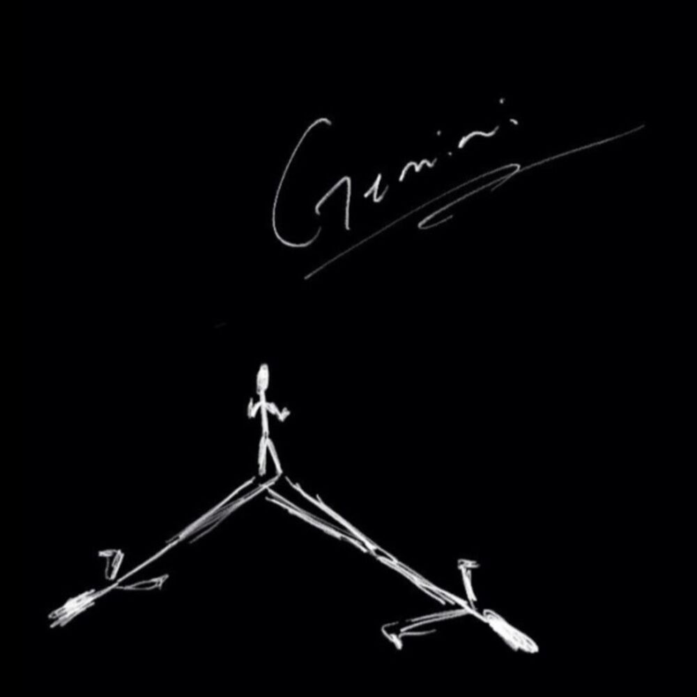 Picture of Gemini