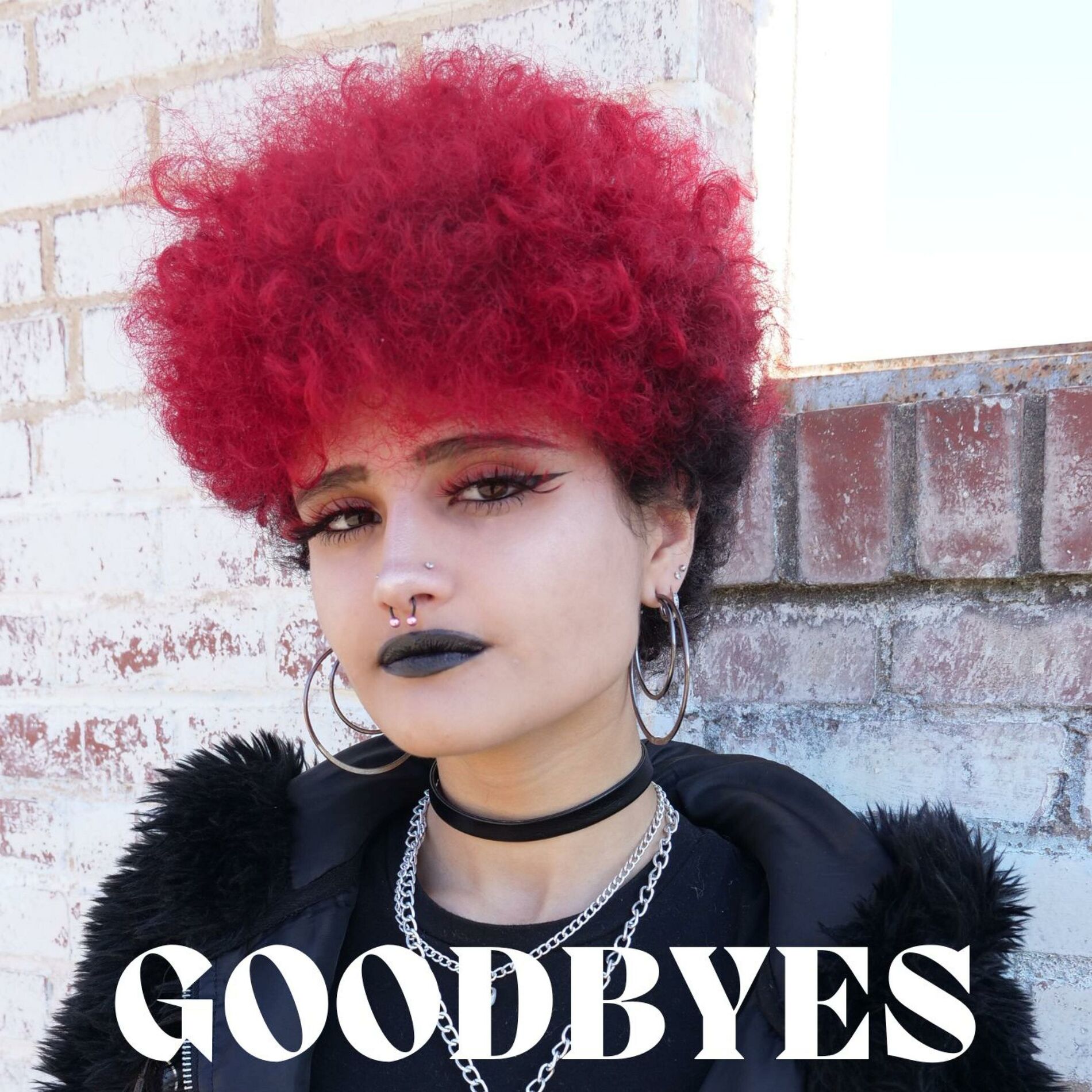 Album cover of Goodbyes