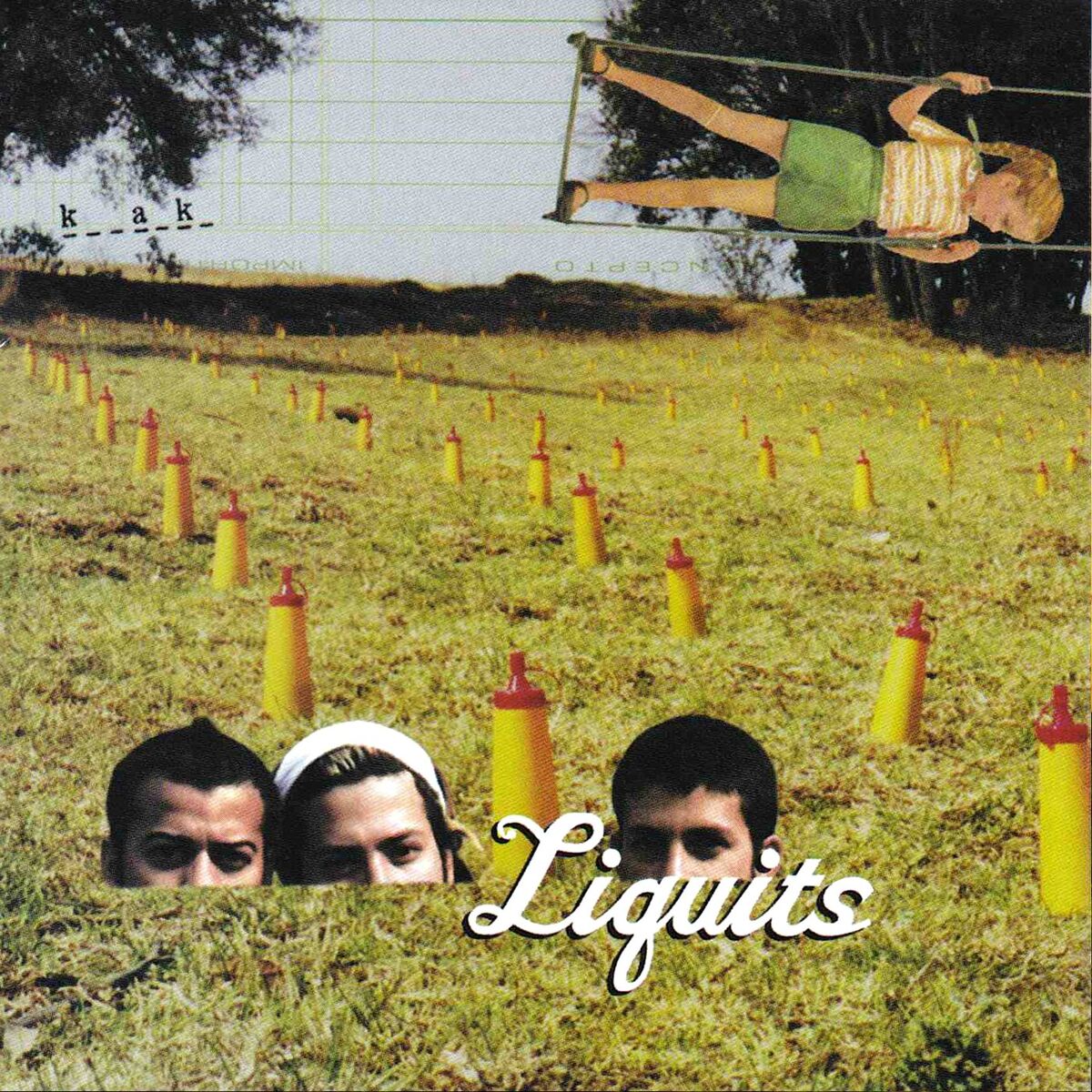 Album cover of Karaoke
