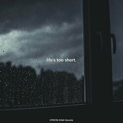 Cover of life's too short.