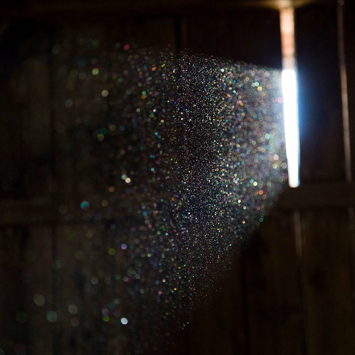 Album picture of Grains & Motes