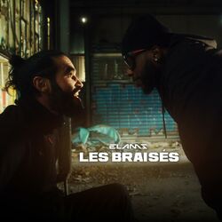 Cover of Les braisés