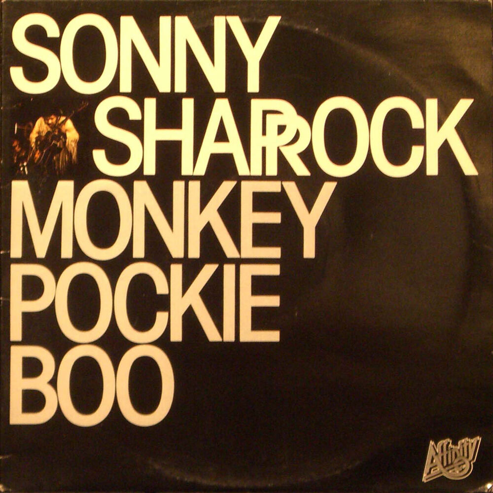 Picture of Monkey Pockie Boo