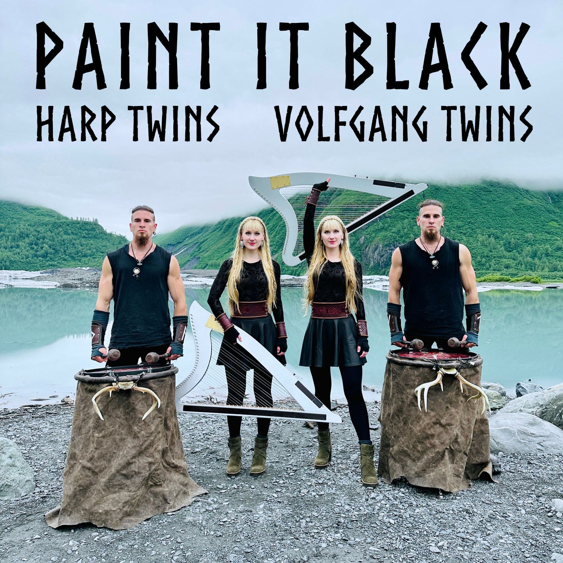 Album cover of Paint It Black