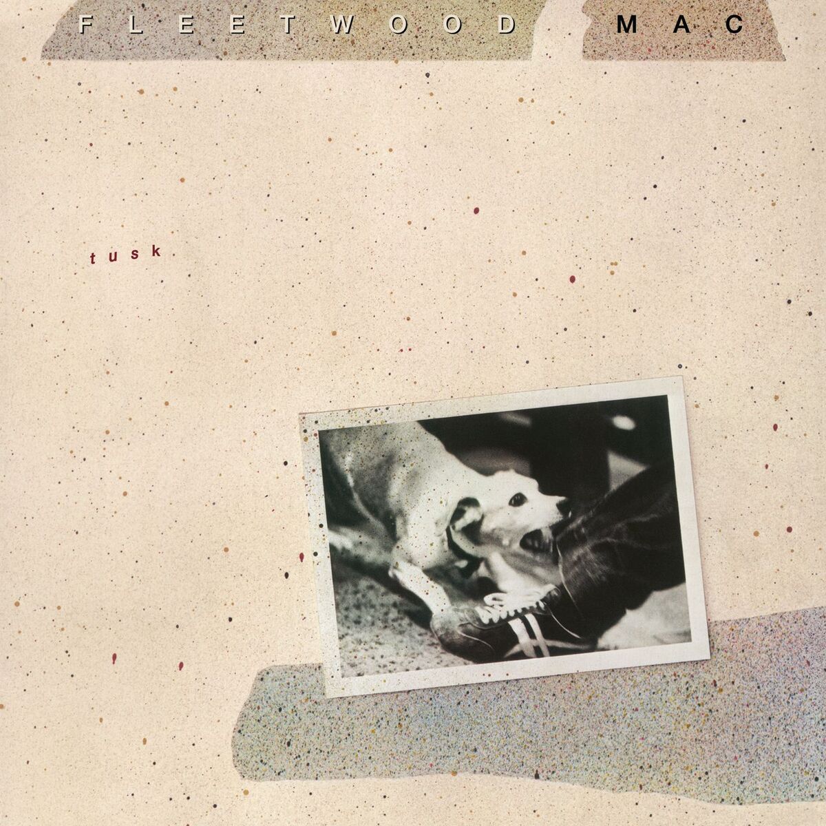 Album cover of Sisters of the Moon