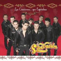 Cover of Las Canciones Que Esperabas