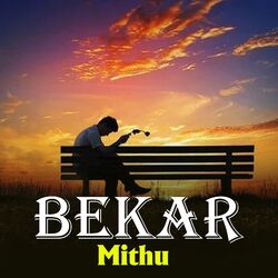 Cover of Bekar