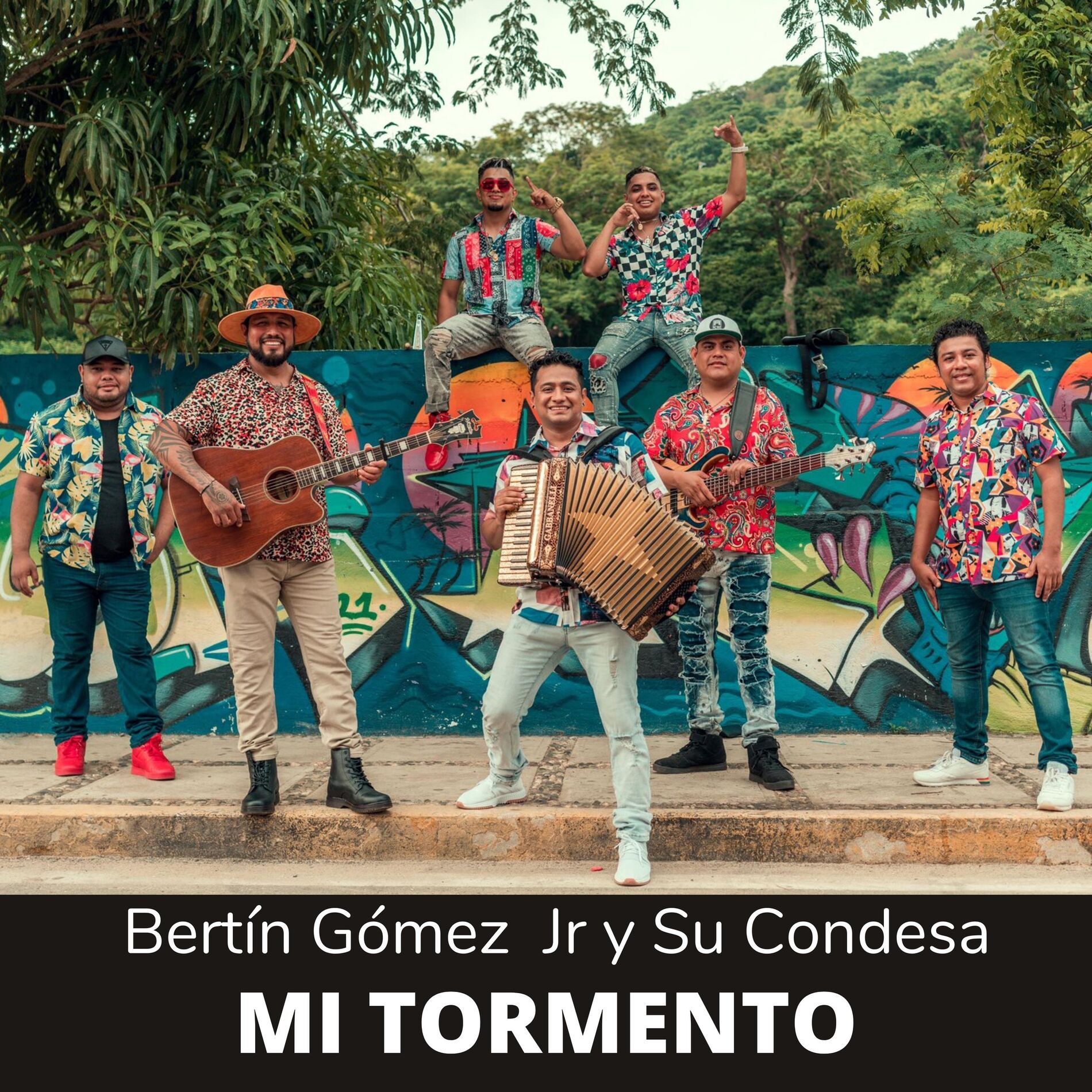 Album cover of Mi Tormento