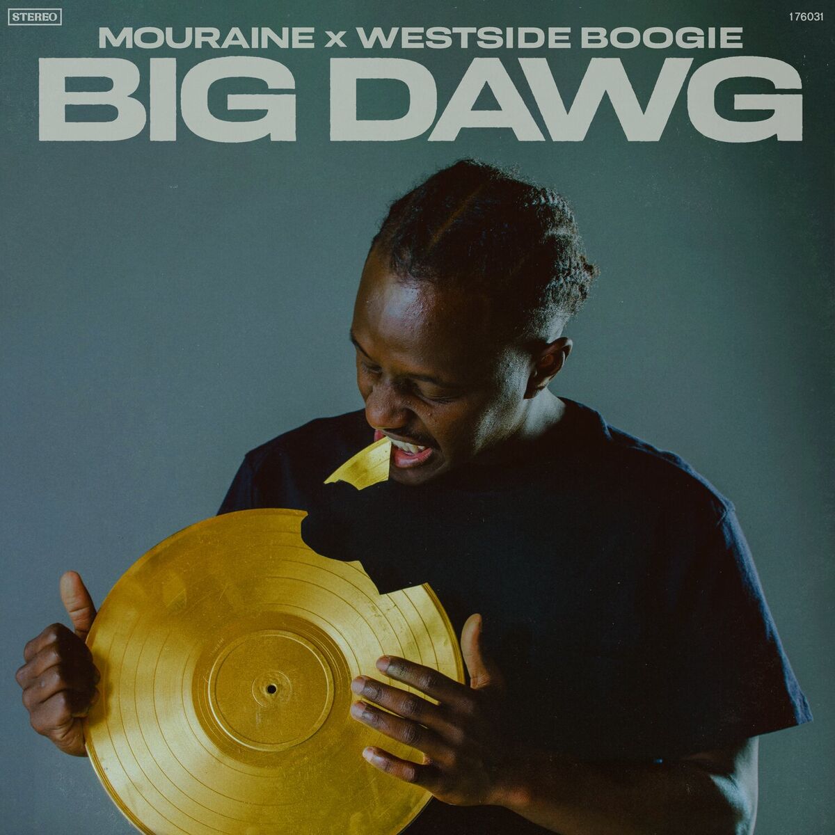 Album cover of Big Dawg