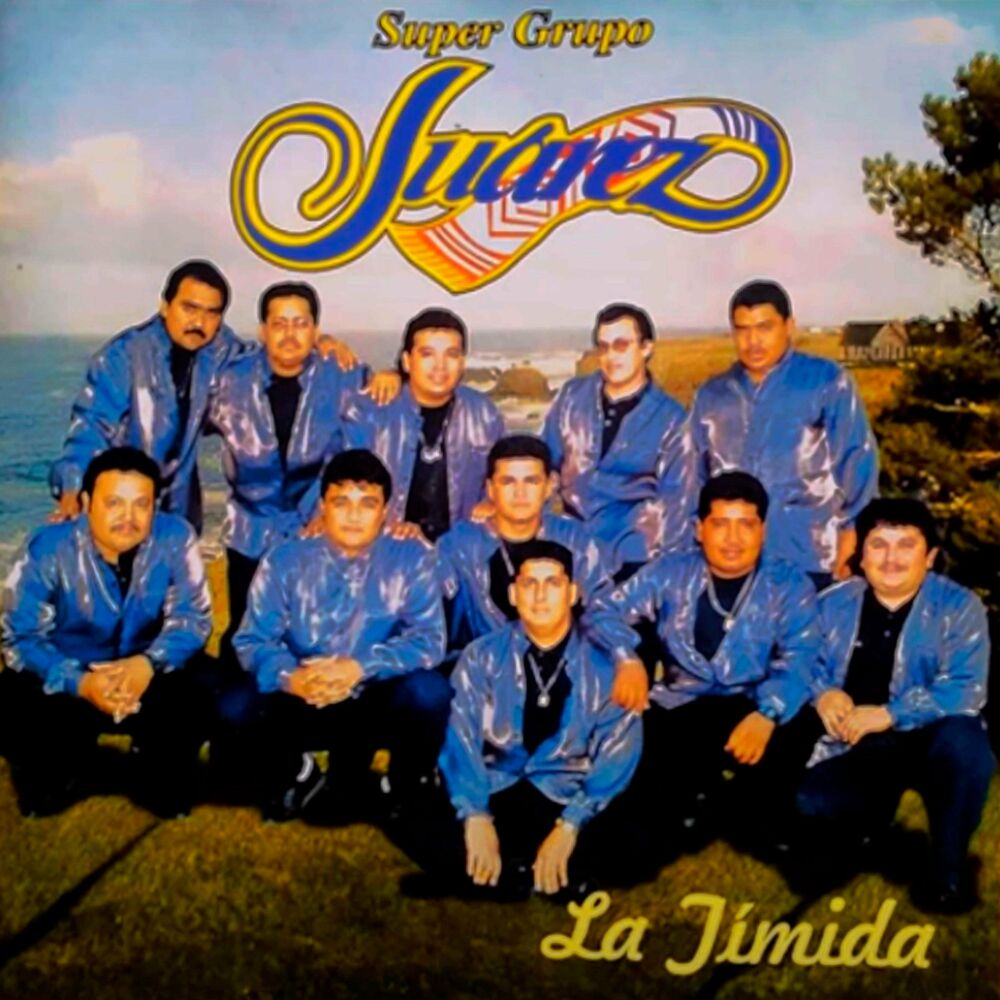 Picture of La Timida