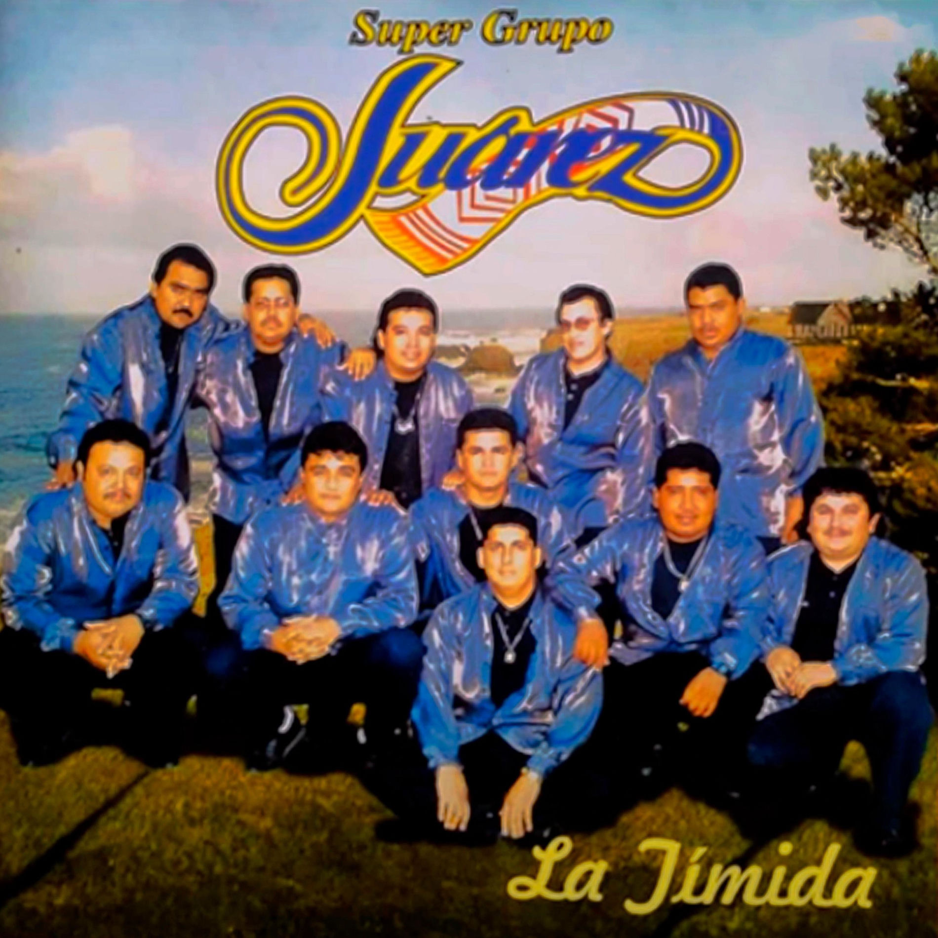 Album cover of La Timida