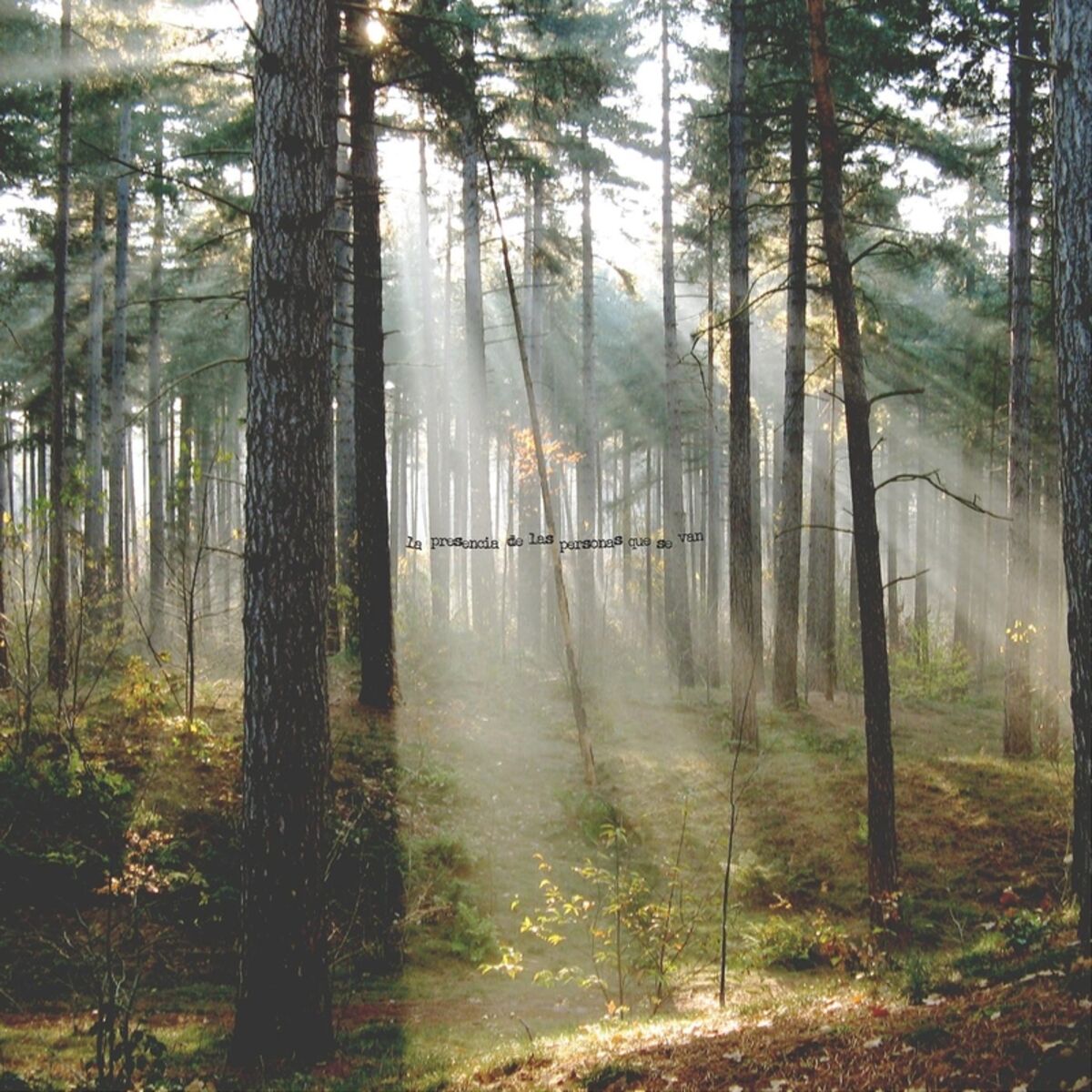 Album cover of Malabares