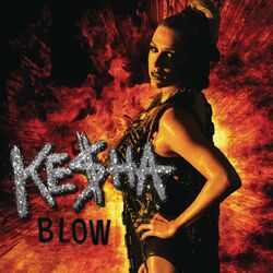 Cover of Blow