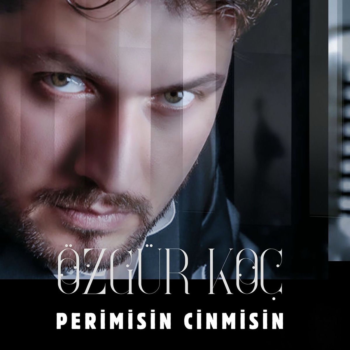 Album cover of Perimisin Cinmisin
