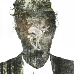 Cover of O