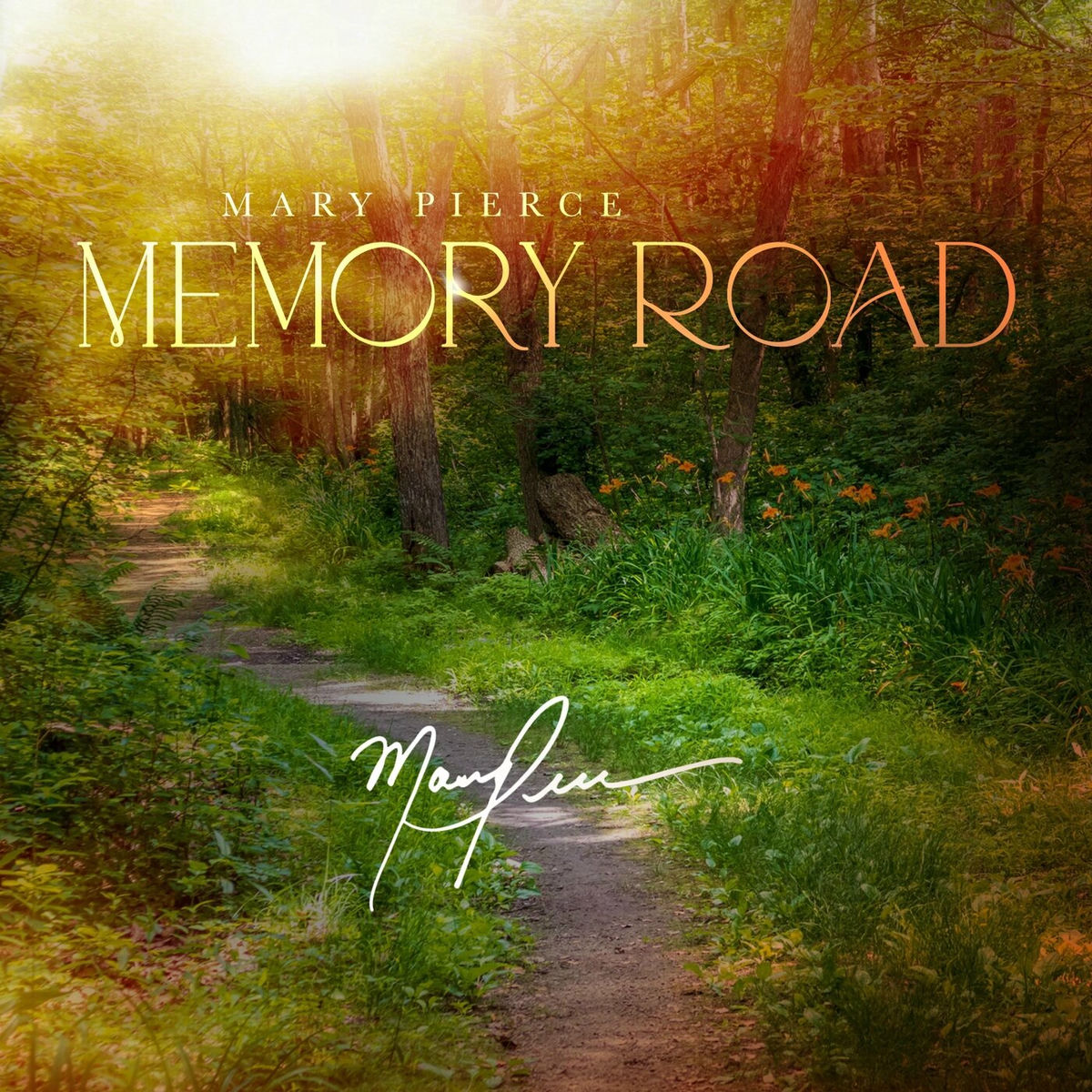 Album cover of Memory Road