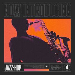 Cover of Now Introducing - Lo-fi Jazz Hop 2