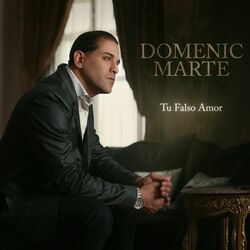 Cover of Tu Falso Amor