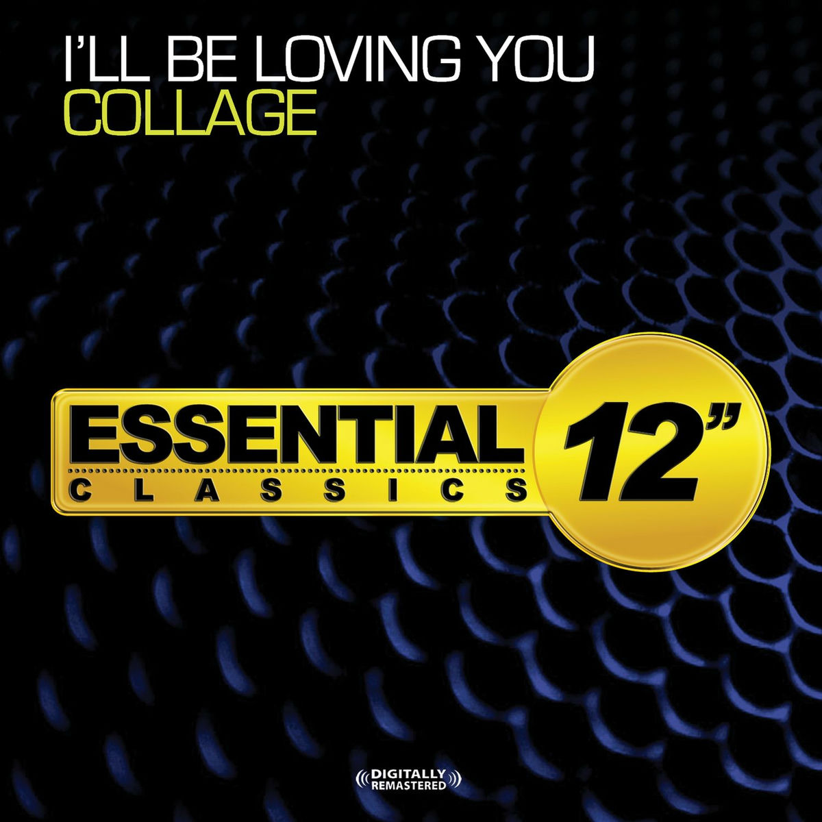 Album cover of I'll Be Loving You