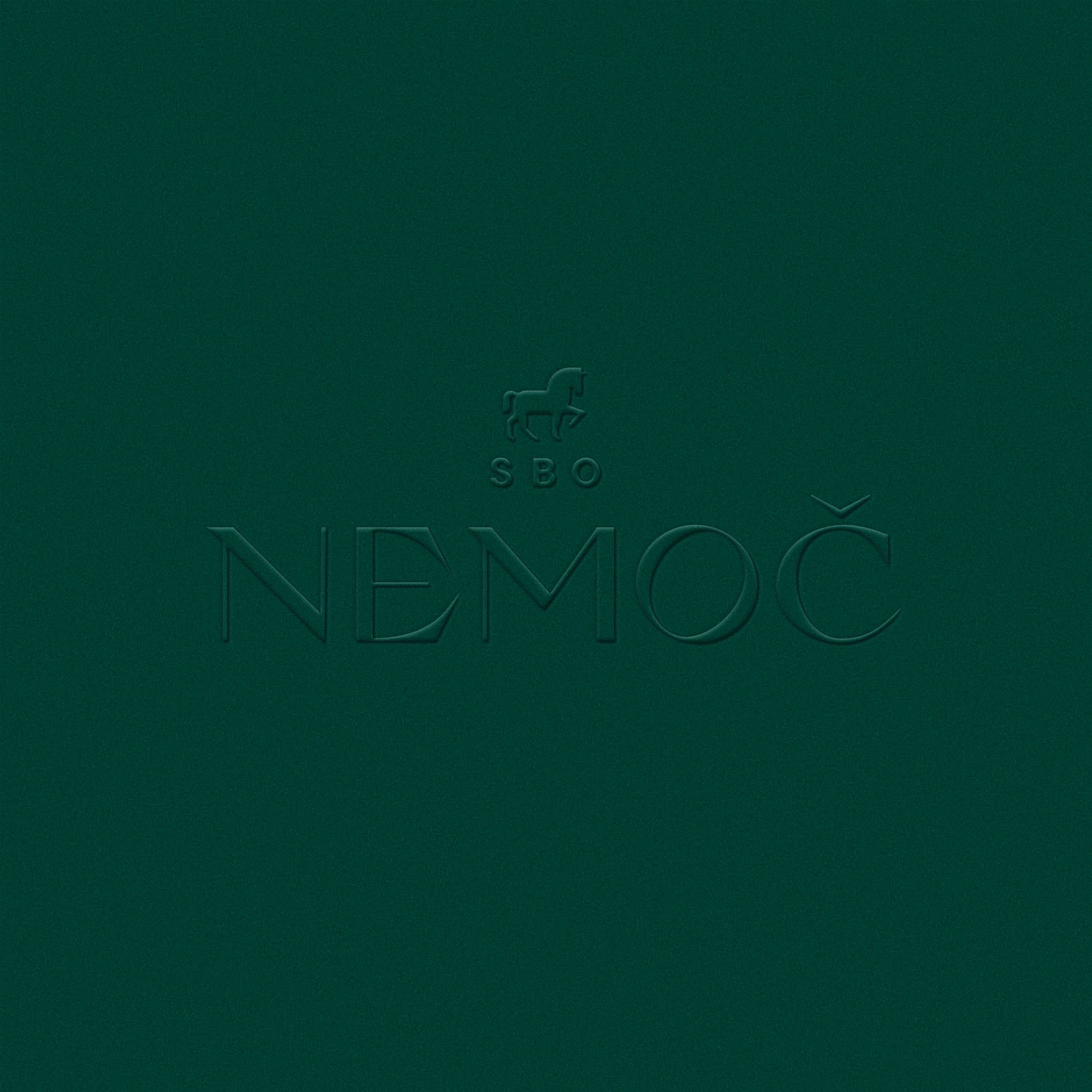 Album cover of Nemoč