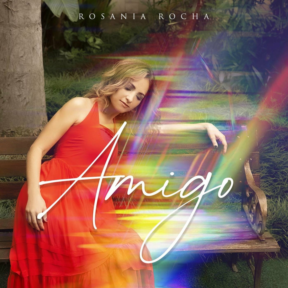 Album cover of Amigo