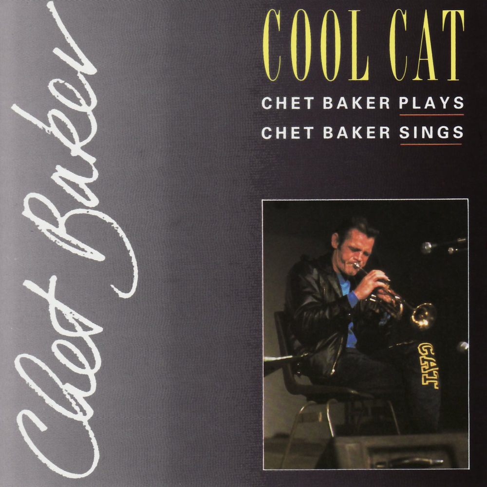 Pochette Cool Cat