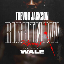 Cover of Right Now (Remix) [feat. Wale]