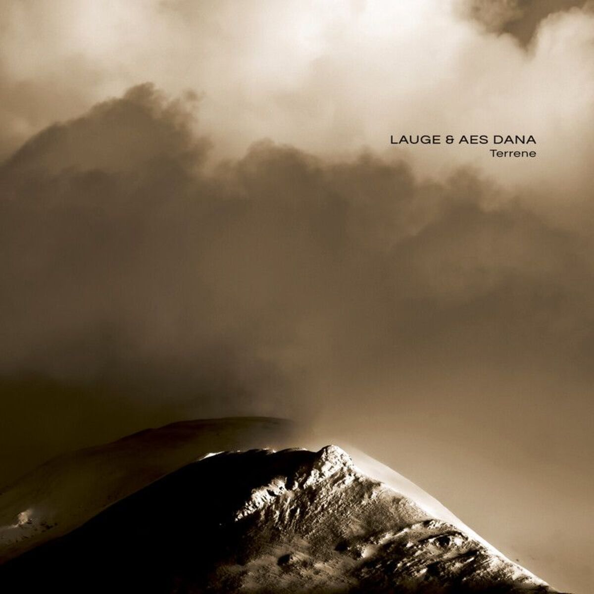 Album cover of Terrene