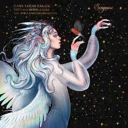 Cover of Vayu