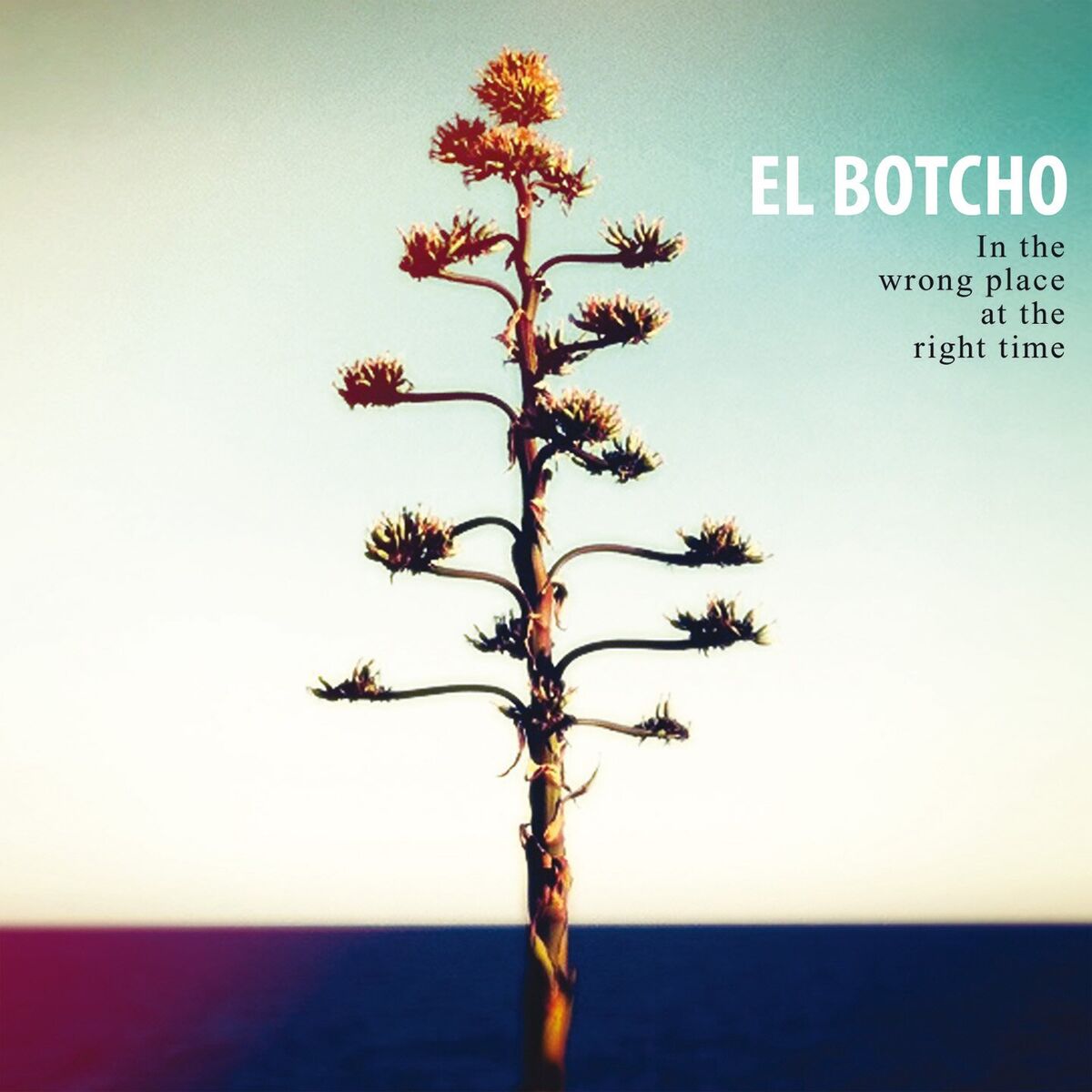 Album cover of In the Wrong Place at the Right Time