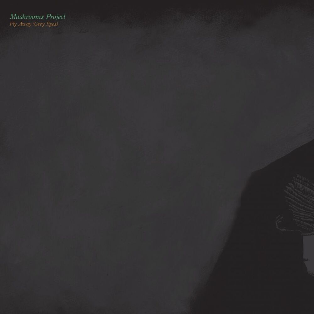 Picture of Fly Away (Grey Eyes)
