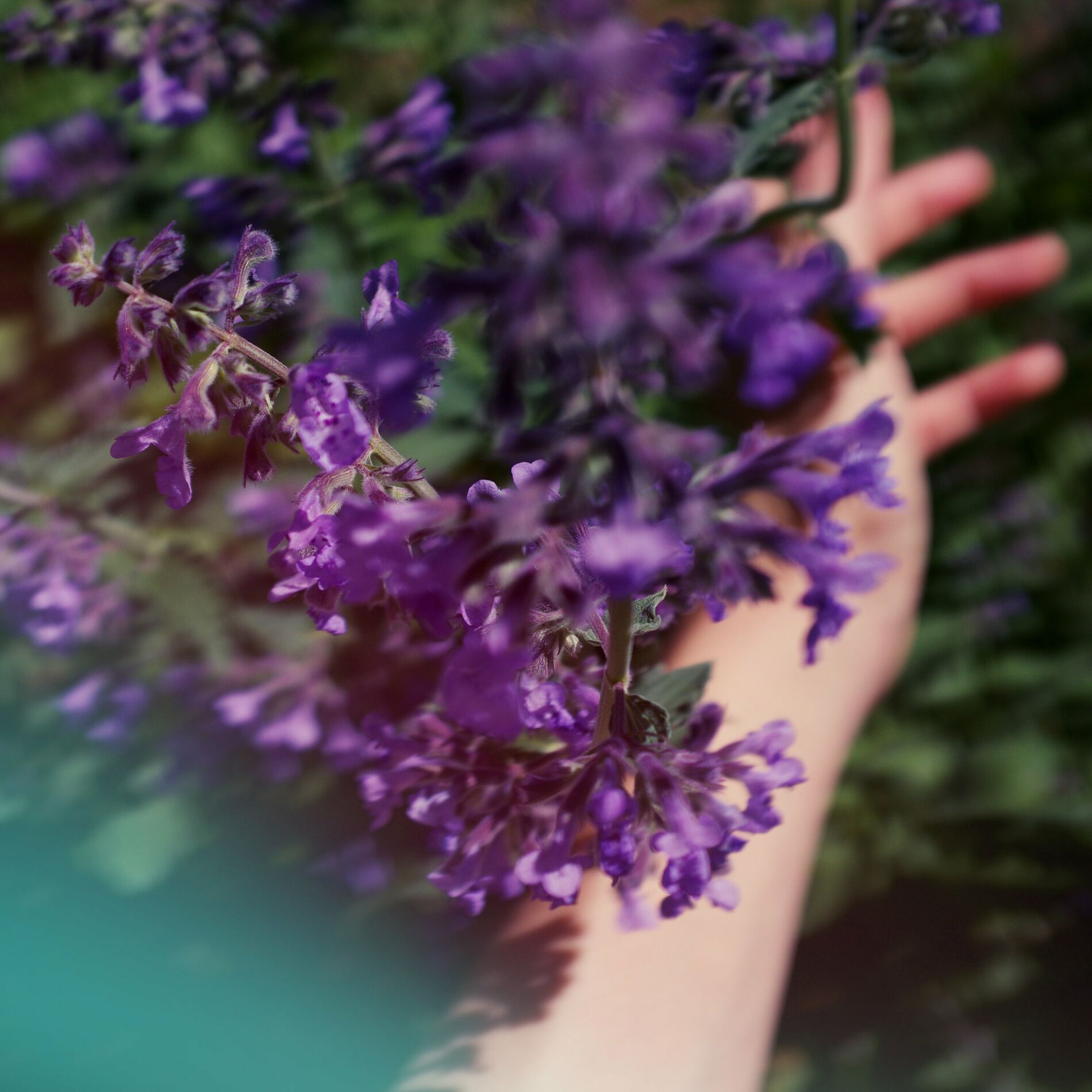 Album cover of Woman