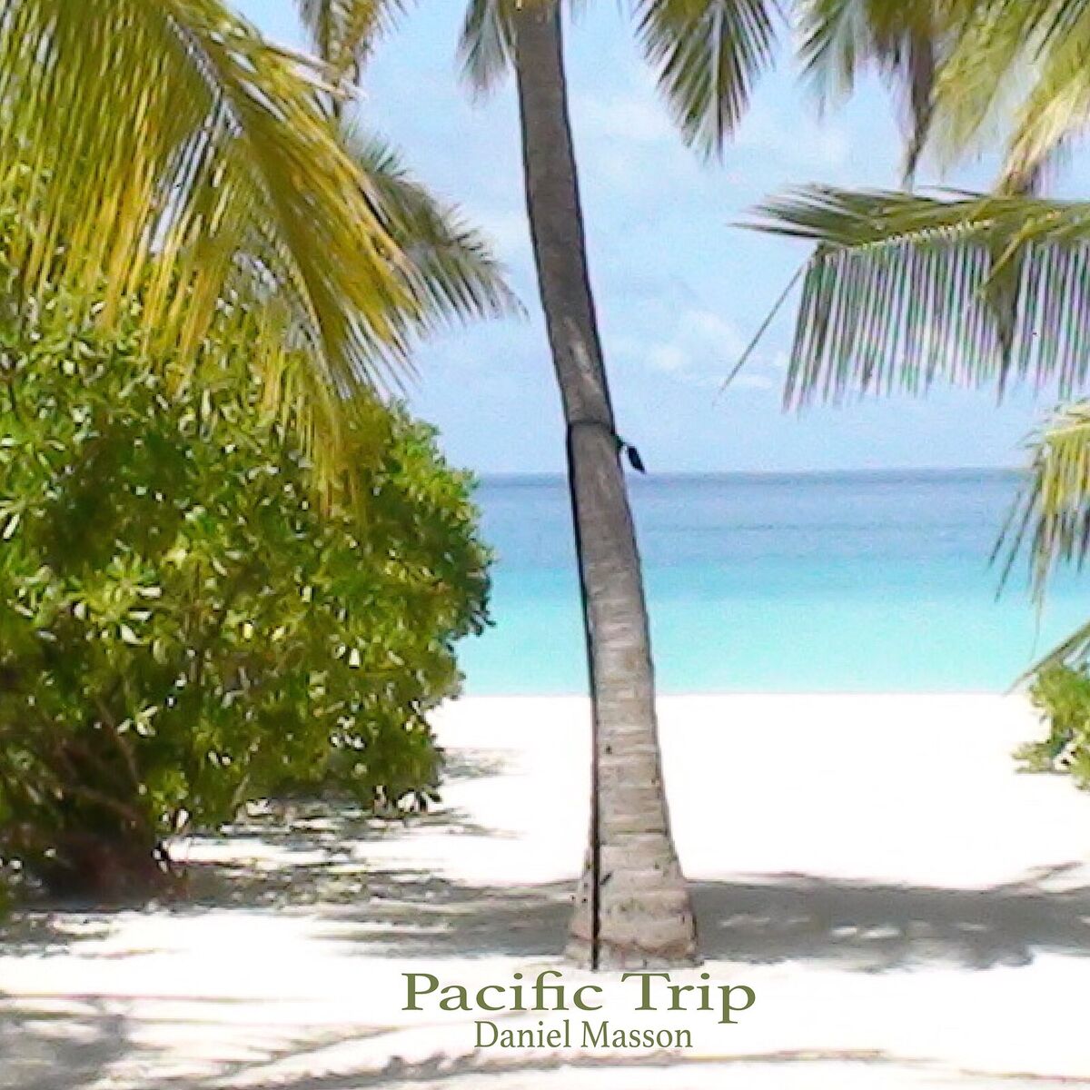 Album cover of Pacific Trip
