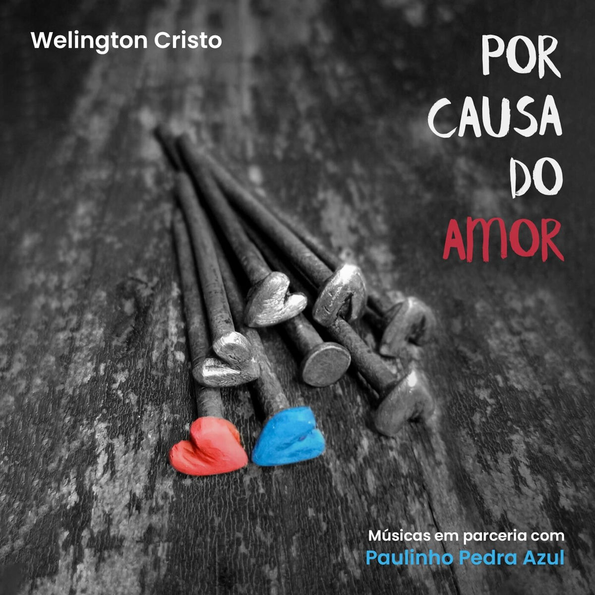 Album cover of Por Causa Do Amor