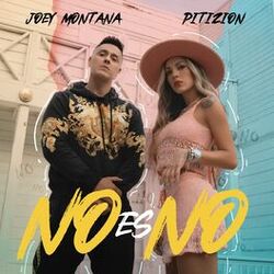 Cover of No Es No