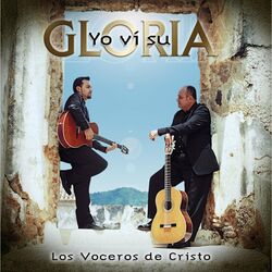 Cover of Yo vi su Gloria