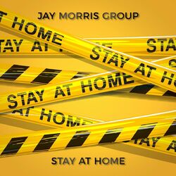 Cover of Stay at Home