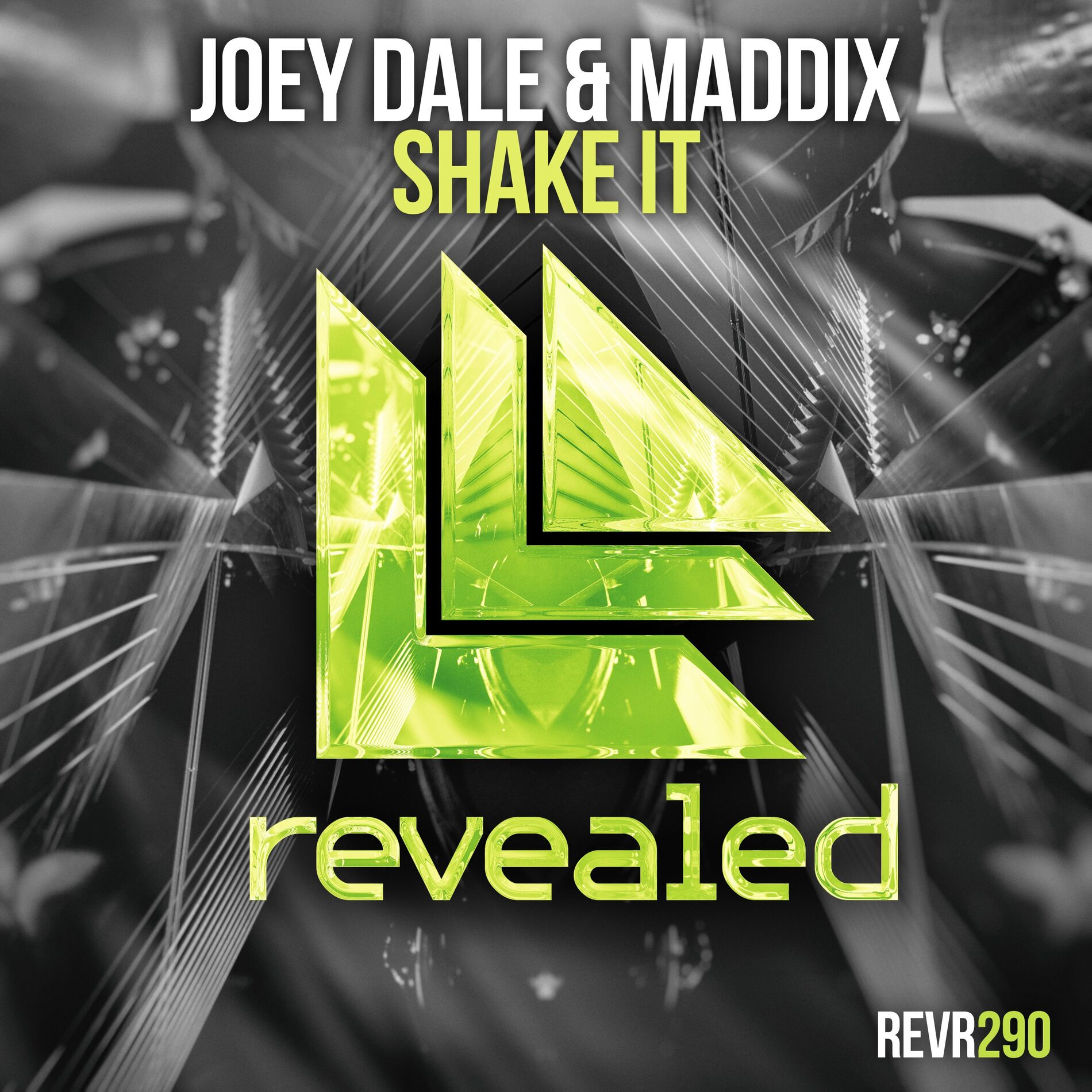Album cover of Shake It