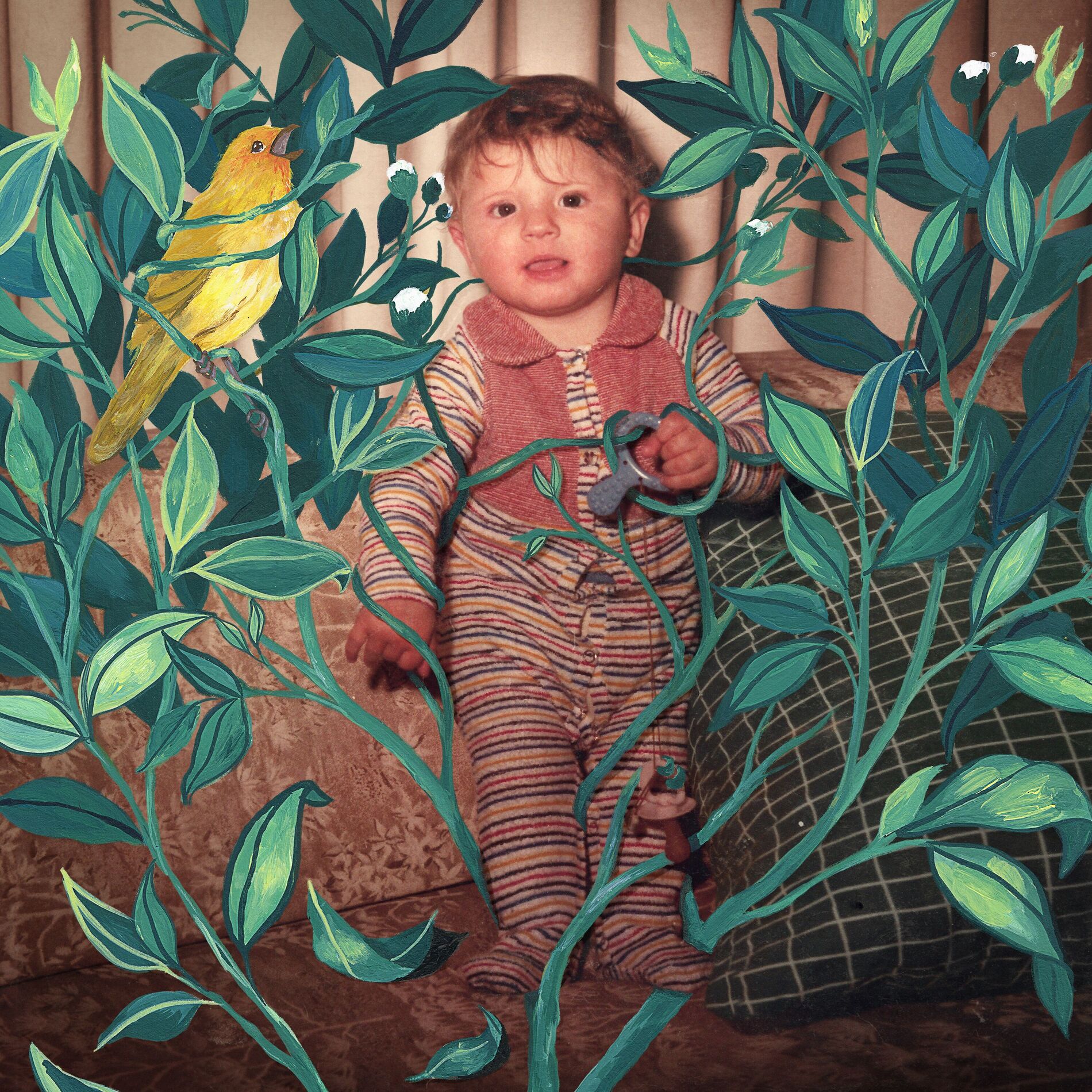 Album cover of Passarinho