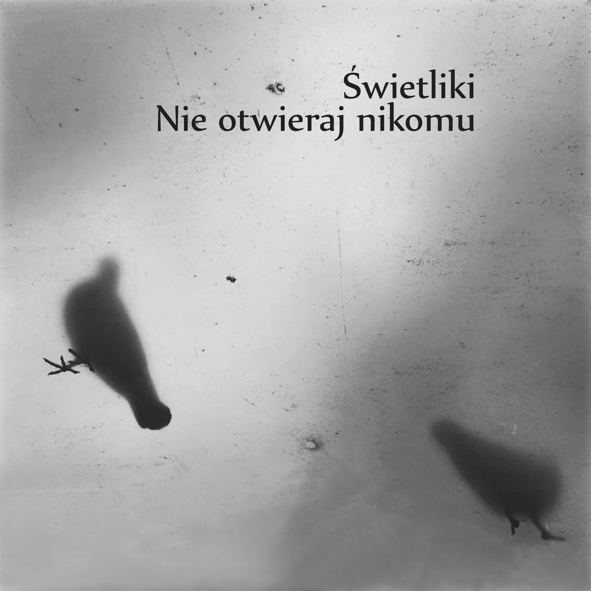 Album cover of Nie Otwieraj Nikomu (Prelude No. 4)