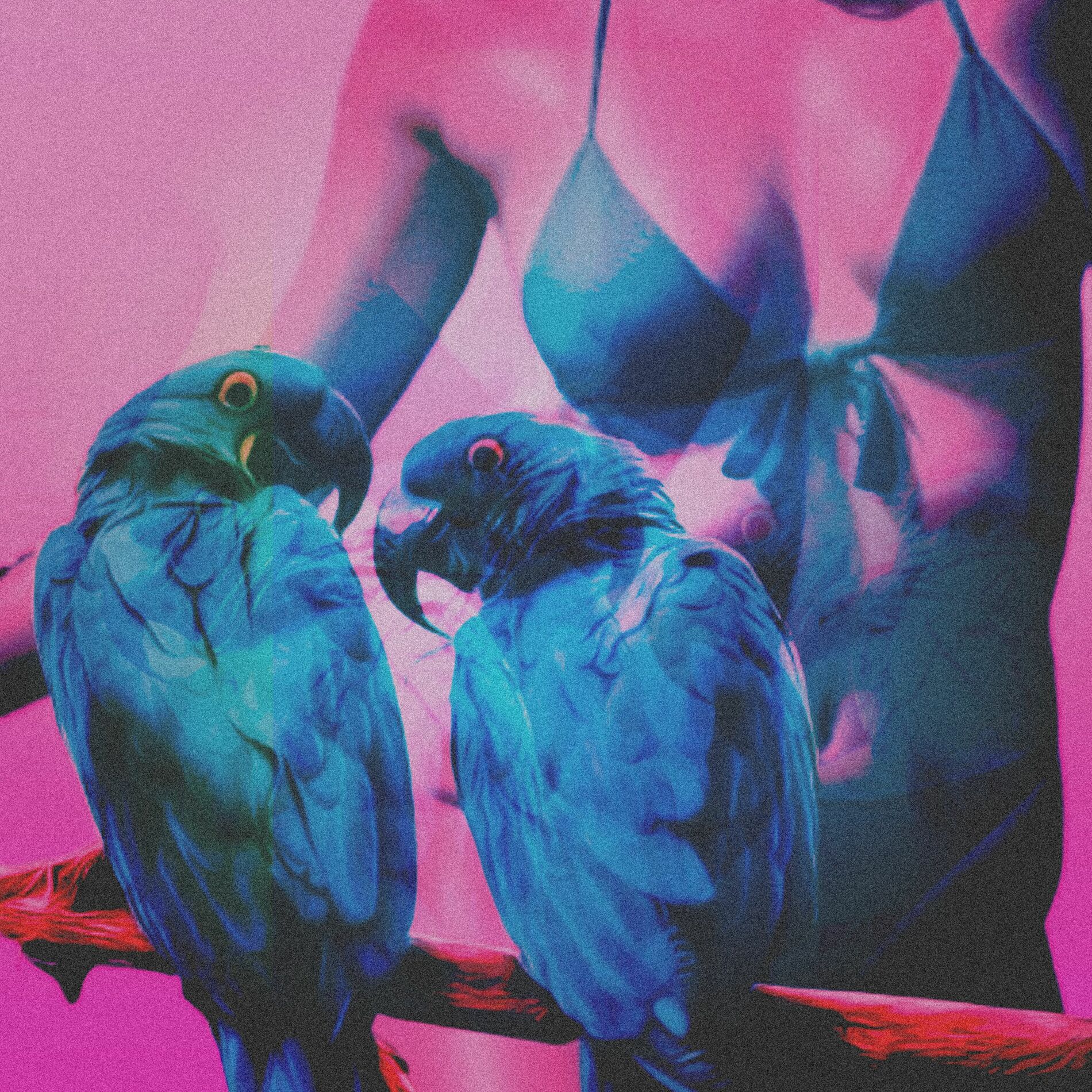 Album cover of BELEZA V2