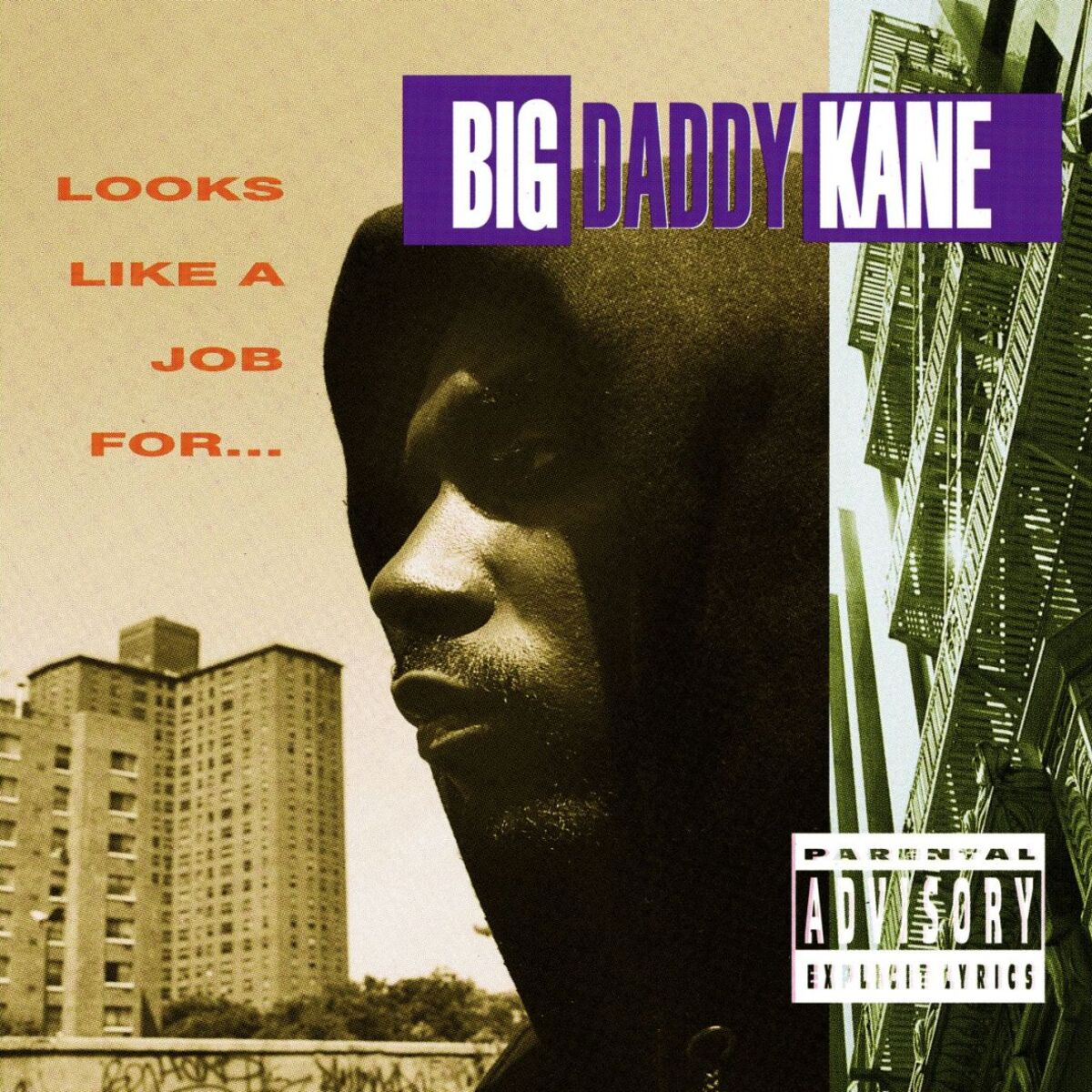 Album cover of Looks Like A Job For...