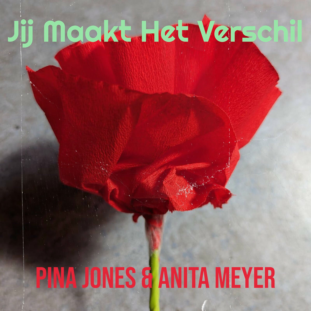 Album cover of Jij Maakt Het Verschil
