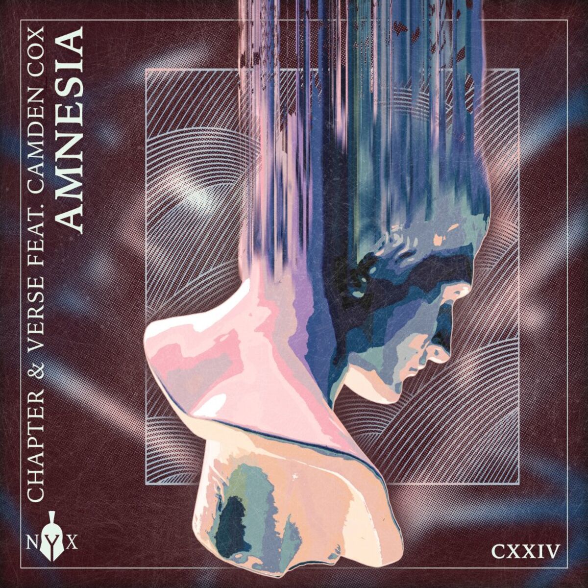Album cover of Amnesia
