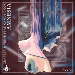 Cover of Amnesia