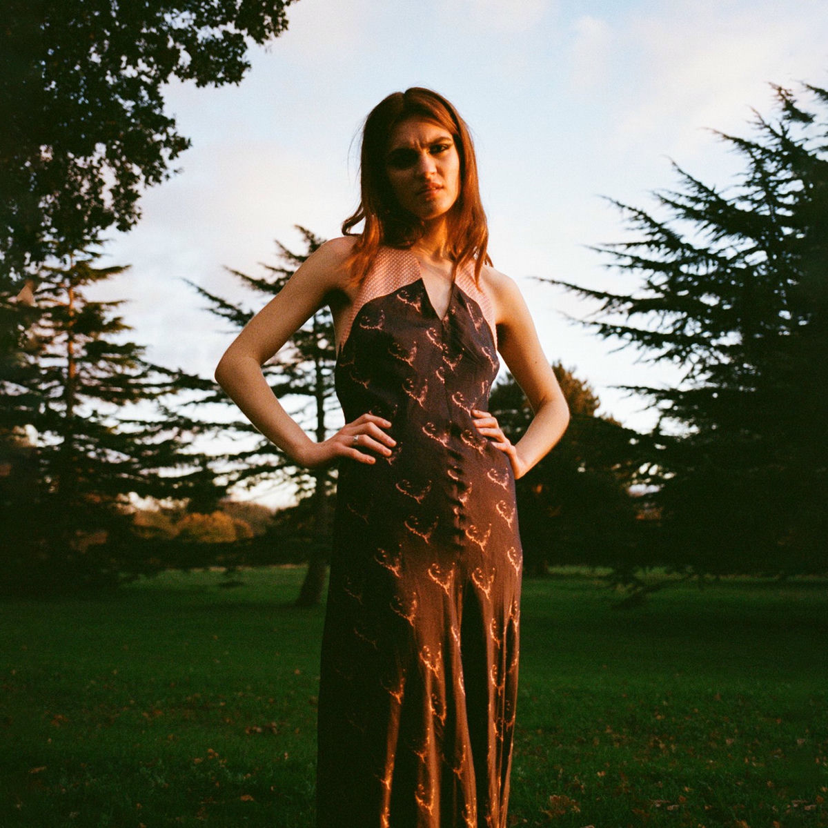 Album cover of Head of the Love Club