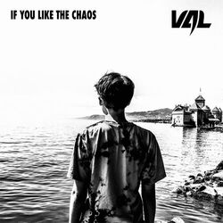 Cover of If You Like The Chaos